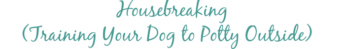 Housebreaking (Training Your Puppy or Dog to Go Outside)