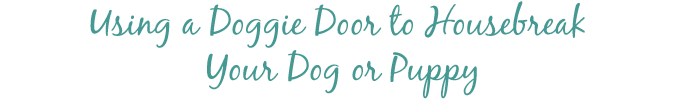 Using a Doggie Door to Housebreak Your Dog or Puppy