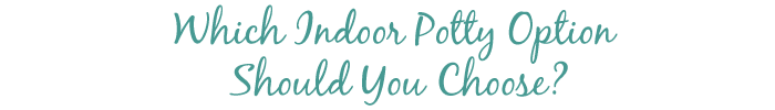 Indoor Potty Options - Paper Training, Litter Box or Sod Pad?